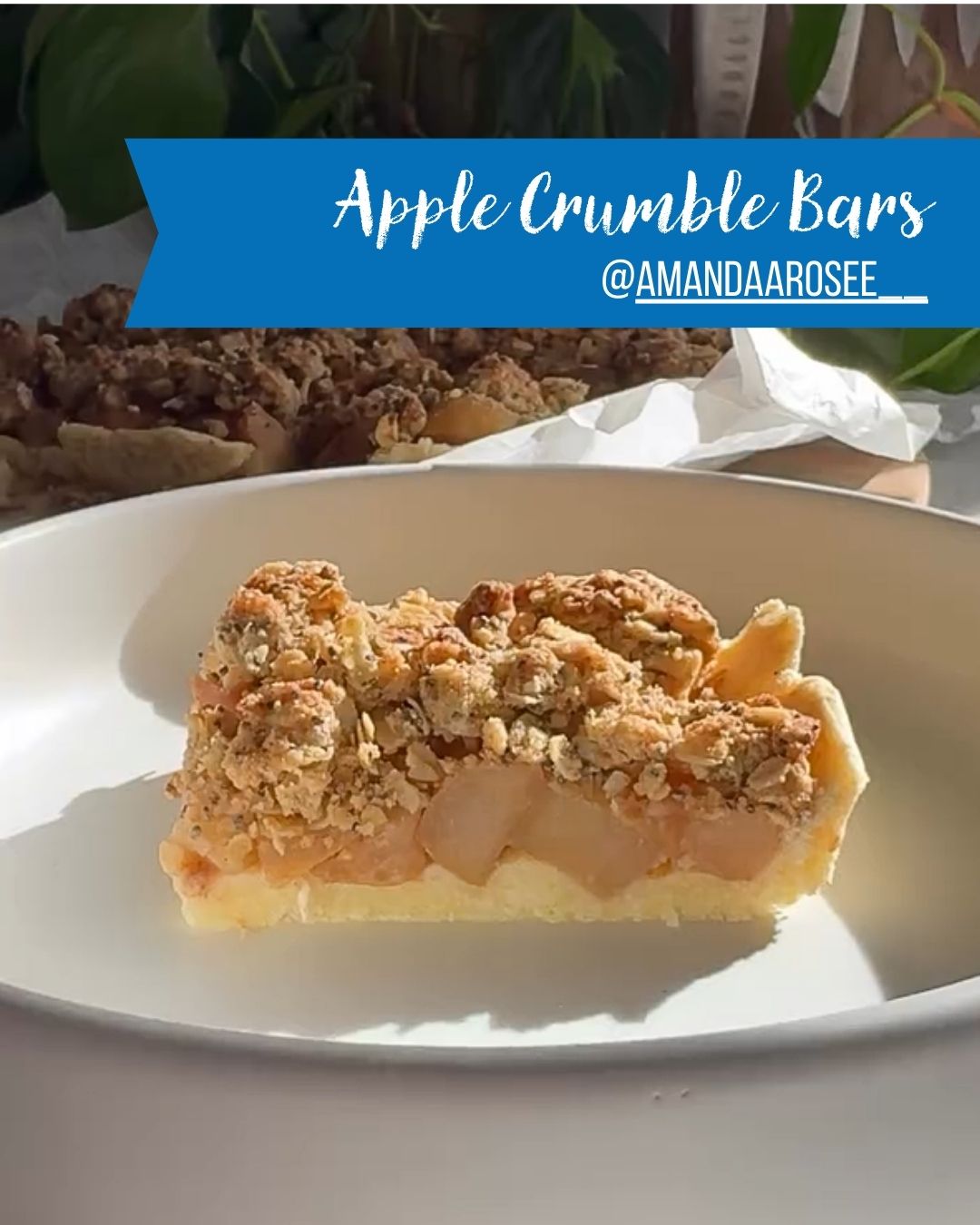 Apple Crumble Bars Recipe Using GF Oats Flour
&ndash; GF Oats Australia