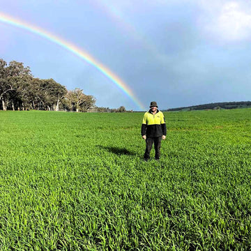 Aussie Oat Crops - A 2024 Update