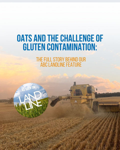 Oats and the Challenge of Gluten Contamination: The Full Story Behind Our ABC Landline Feature