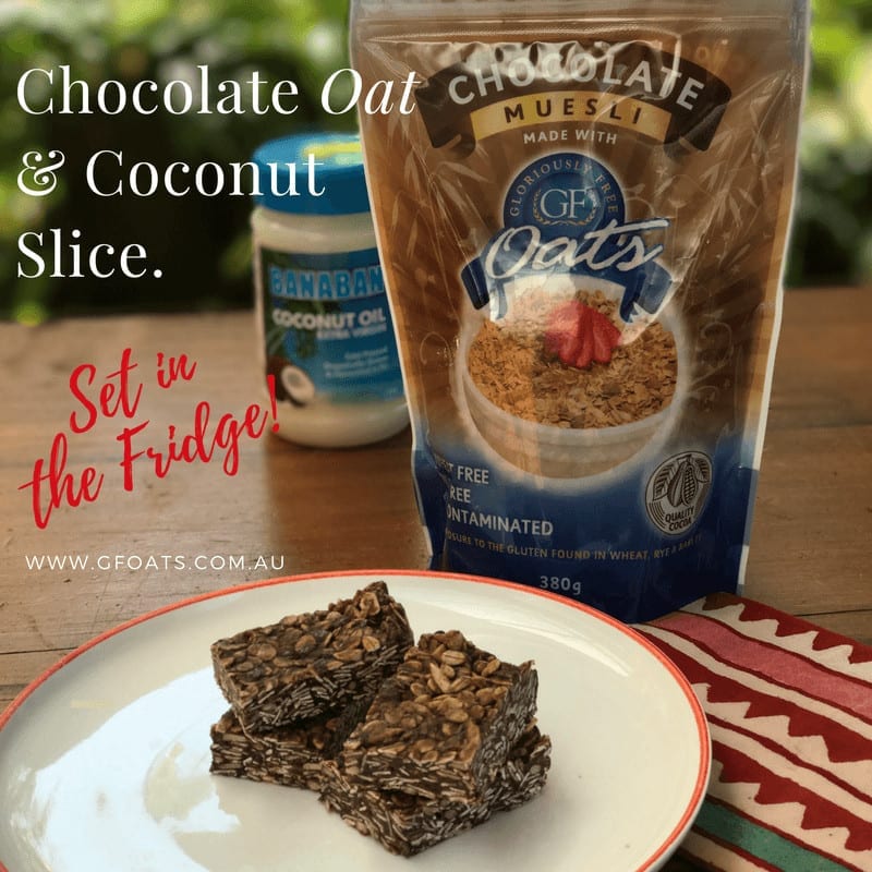 Chocolate Oat | Coconut Slice | GF Oats
